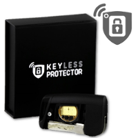 keyless protector diag prog 4